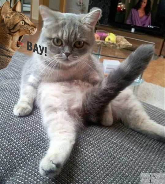 Мем: В День единорога