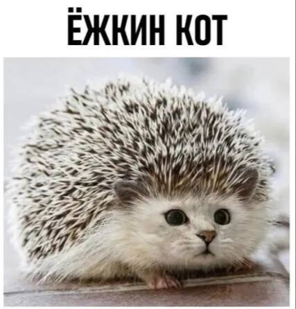 Мем, Смехалка