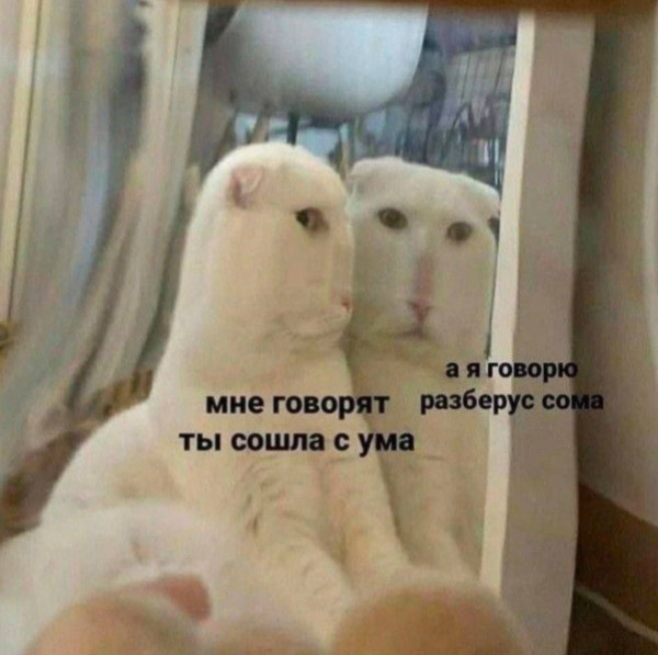 Мем, Bassplayer