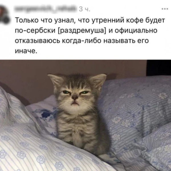Мем, Mghost