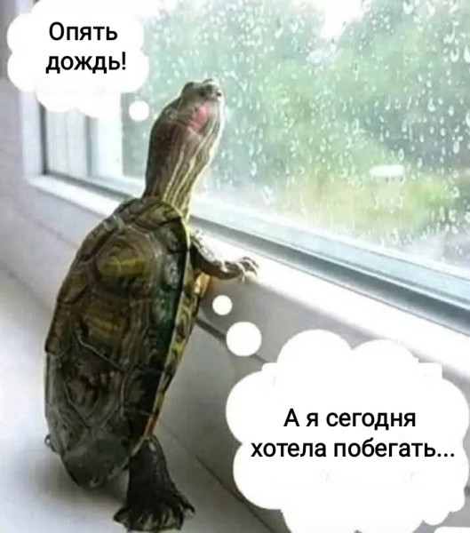 Мем, Рысь