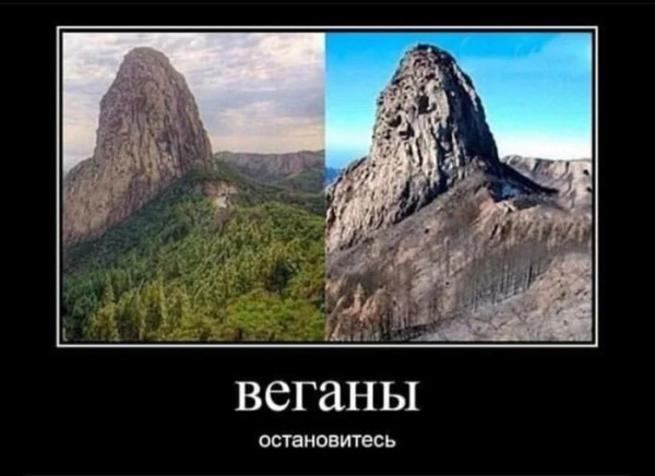 Мем, mikololo