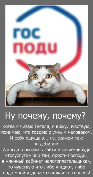 Мем, Волгоградский рыболов