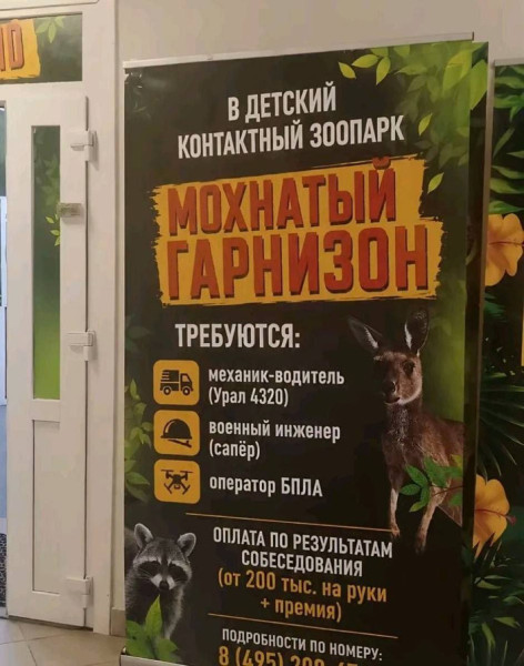 Мем, Ashmedai
