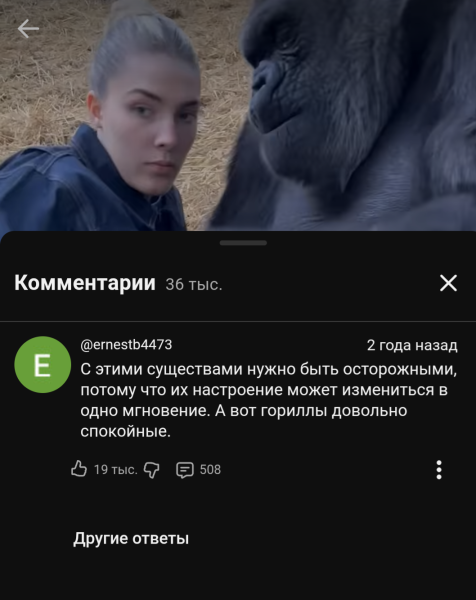 Мем, Nik71