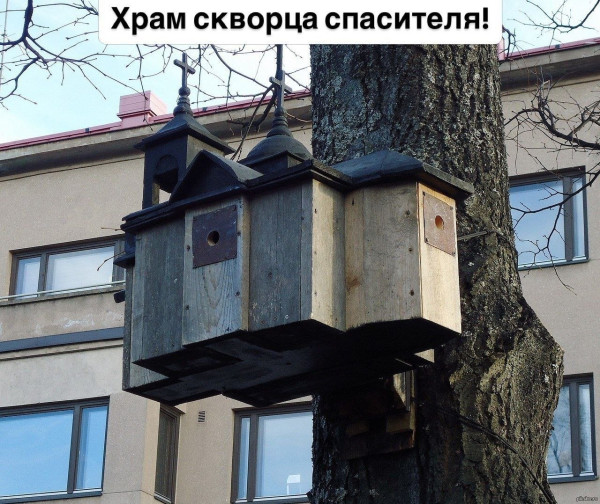 Мем, Ashmedai