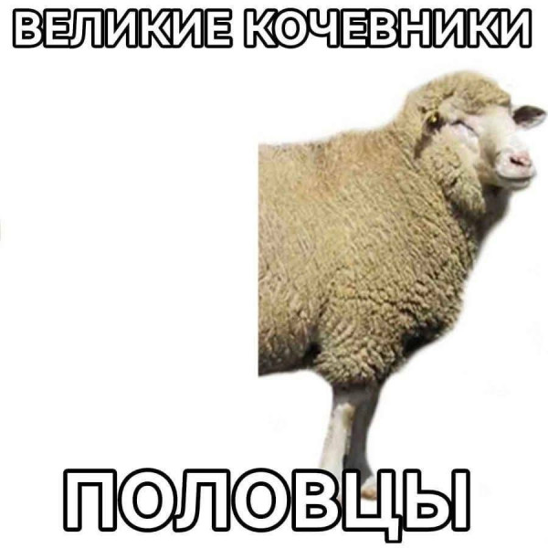 Мем, Ashmedai Мем, Ashmedai