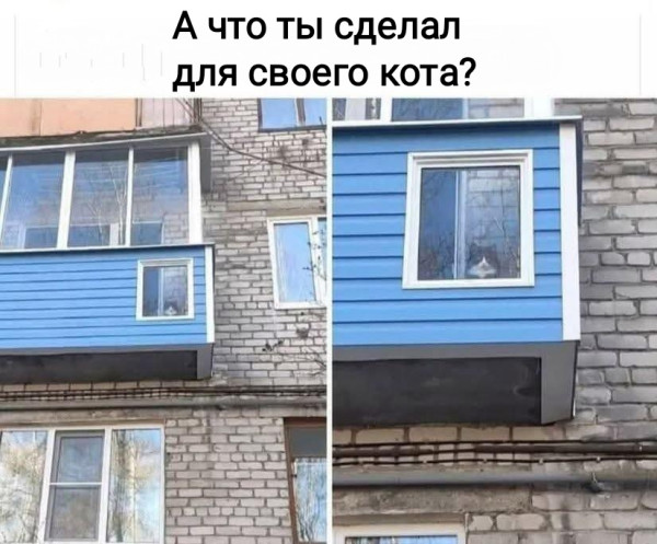 Мем, Рысь Мем, Рысь