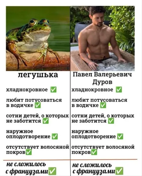 Мем, Смехалка