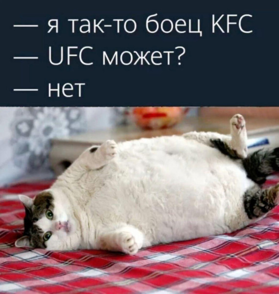 Мем: Боец KFC, RusLan2025 Мем: Боец KFC, RusLan2025