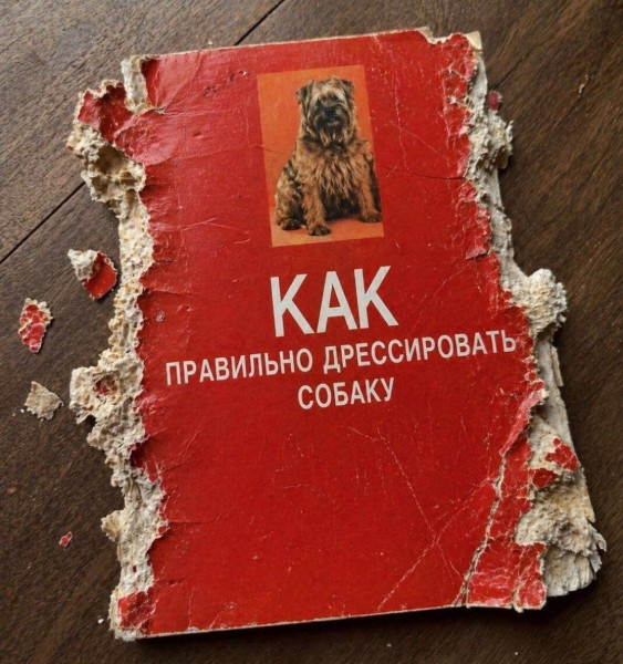 Мем, Ashmedai