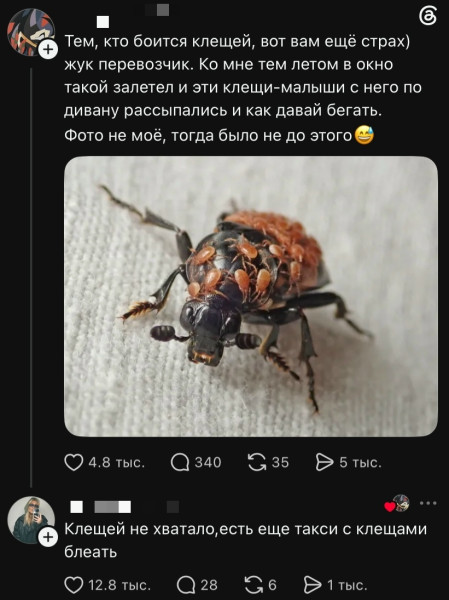 Мем, Смехалка Мем, Смехалка