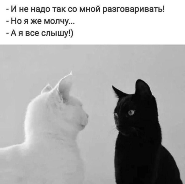 Мем, anberg Мем, anberg