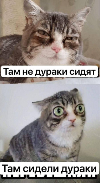 Мем Мем