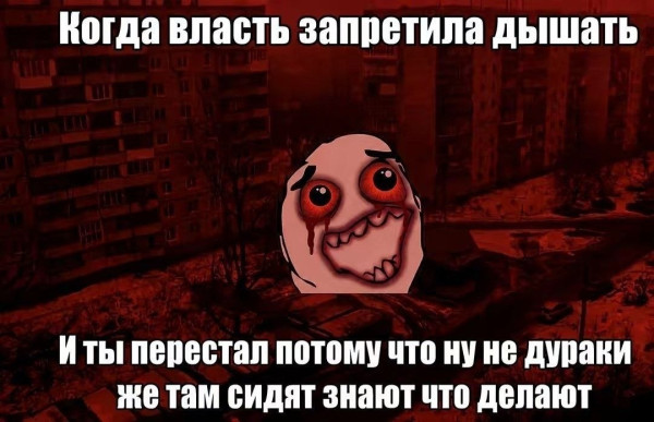 Мем, Diogenes Мем, Diogenes