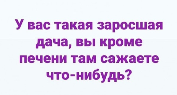 Мем, Алекс Гудков