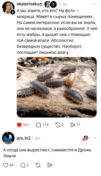 Мем, Смехалка