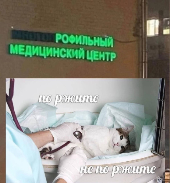 Мем, Diogenes