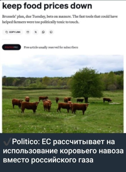 Мем: Работает Кая Каллас, Юрий Небольсин Мем: Работает Кая Каллас, Юрий Небольсин