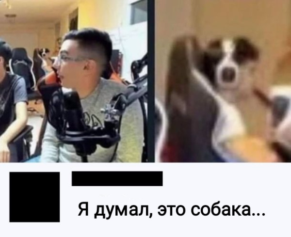 Мем, Рысь