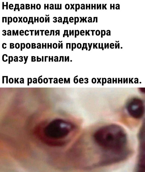 Мем, Ashmedai