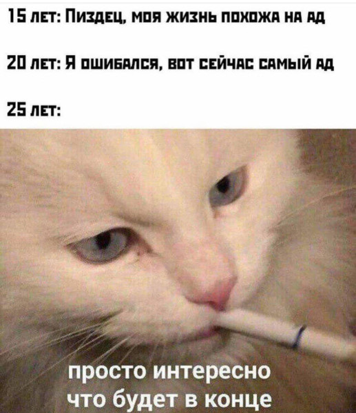 Мем Мем