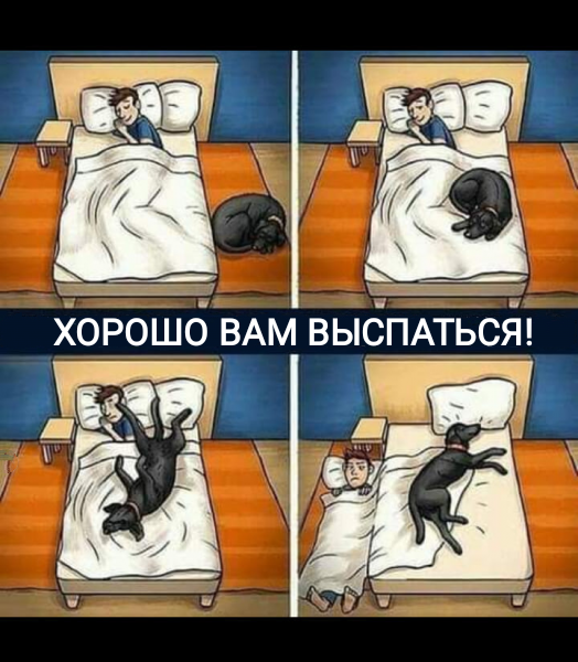 Мем, Рысь