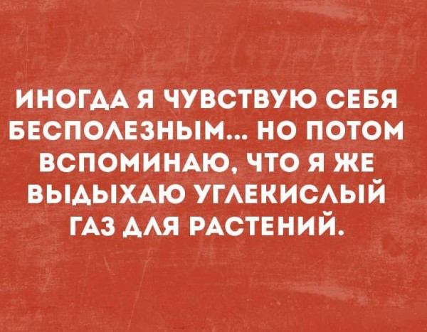 Мем, Ashmedai