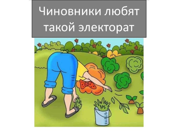 Мем, ДмРос