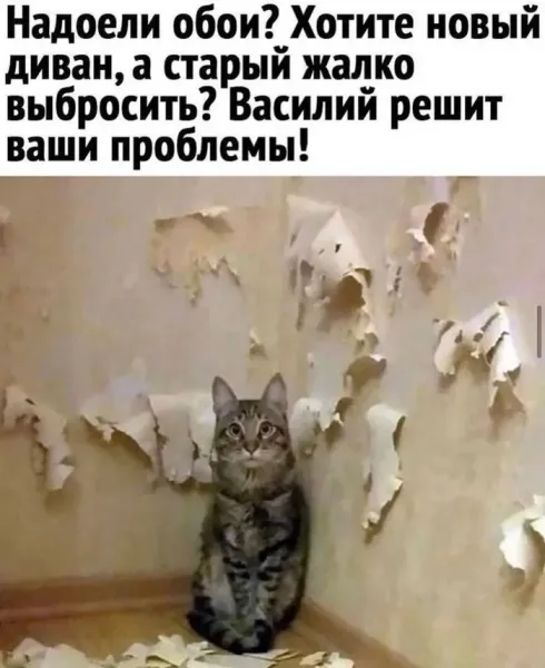 Мем, Смехалка Мем, Смехалка