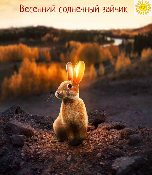 Мем Мем