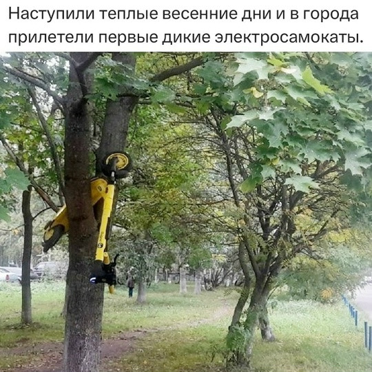 Мем, Смехалка