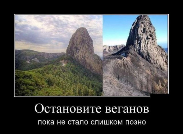 Мем: Остановите веганов, RusLan2025 Мем: Остановите веганов, RusLan2025
