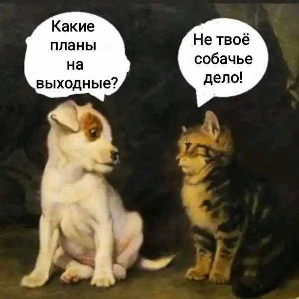 Мем, Рысь