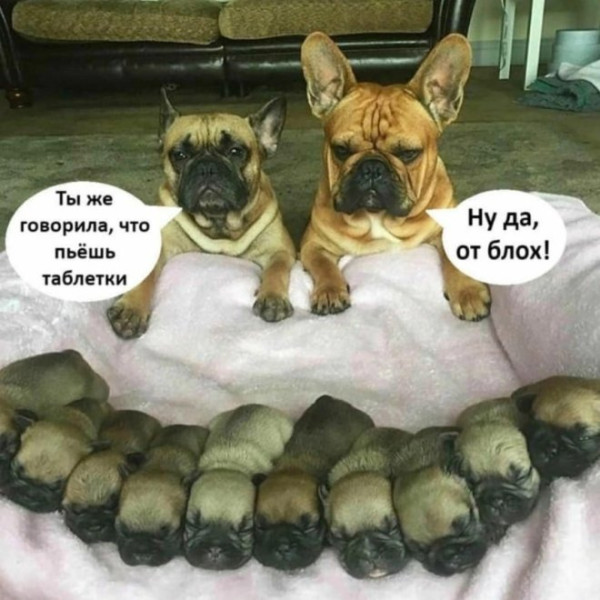 Мем, Смехалка
