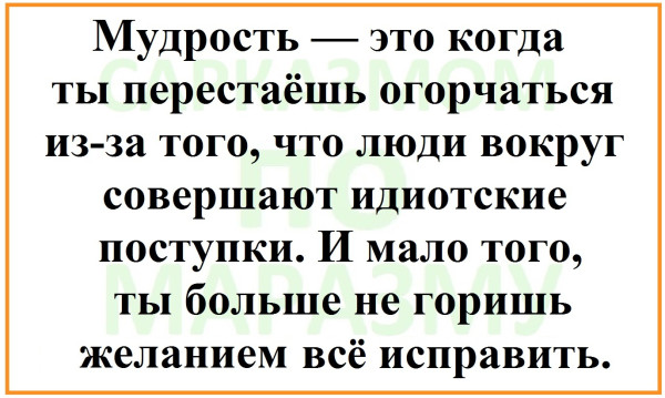 Мем, Александр САН