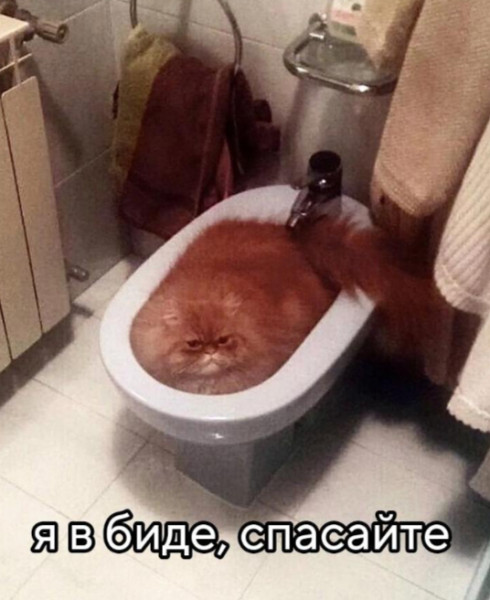 Мем, Mghost