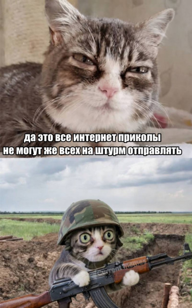 Мем