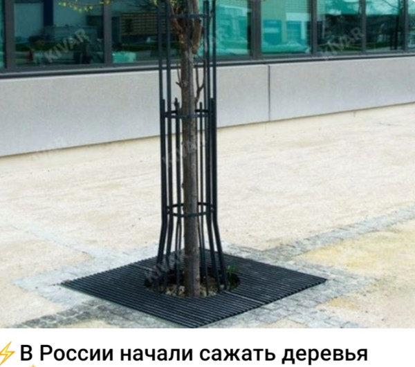 Мем, Ashmedai