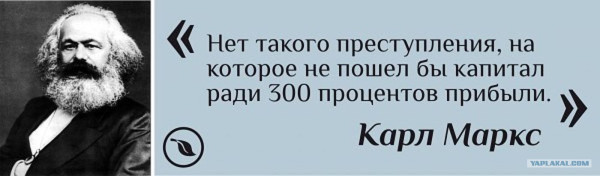 Мем, Алекс Гудков