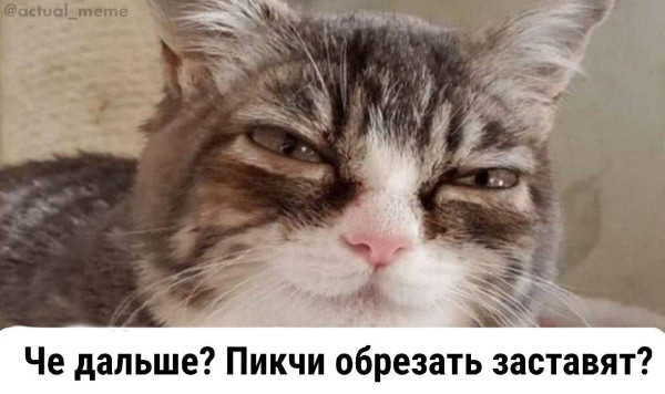 Мем