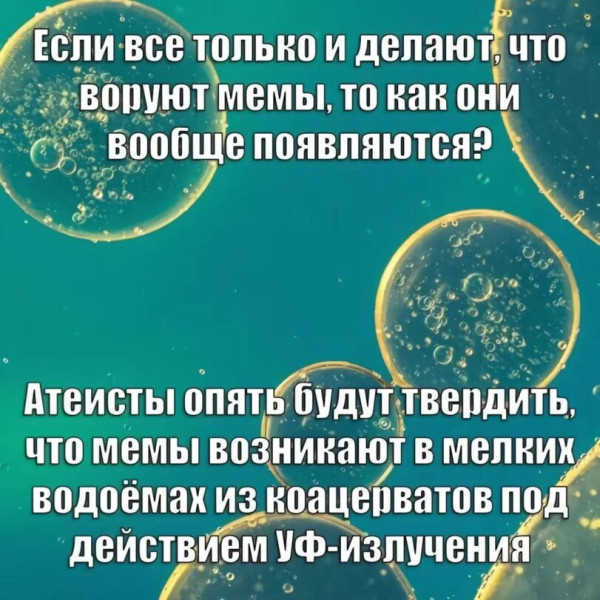 Мем, FDio