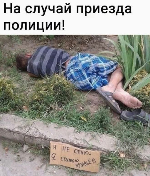 Мем, Jonas Мем, Jonas