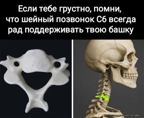 Мем, Рысь