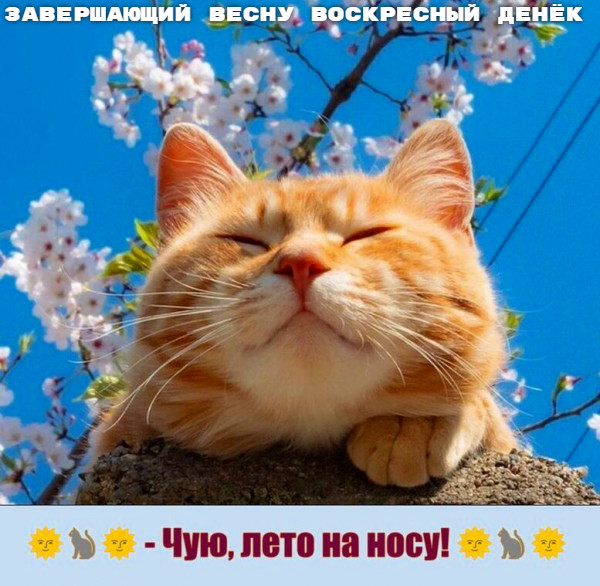 Мем