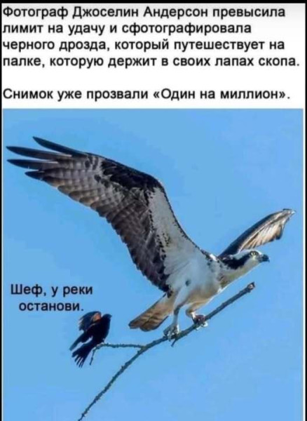 Мем, Смехалка