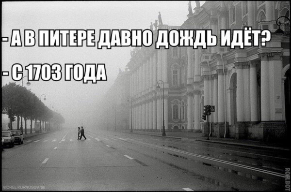 Мем: С днём рождения, Питер!, Антиклептократ