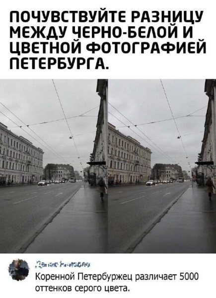 Мем: С днём рождения, Питер!, Антиклептократ
