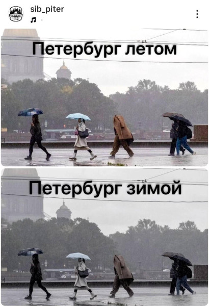 Мем: С днём рождения, Питер!, Антиклептократ