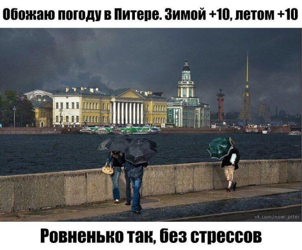 Мем: С днём рождения, Питер!, Антиклептократ
